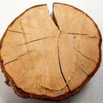 Nr 20-127, 29,95€ Nr 20-127, 29,95€